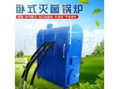 常压灭菌锅炉 香菇平菇蘑菇木耳菌袋蒸汽锅炉图1