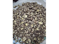 大量供应椴木香菇图2