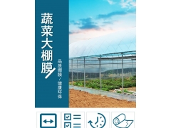 PO膜 无滴膜 大棚膜 农膜 塑料薄膜 高透膜 PEP透明膜图2