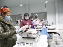 剑河：防疫生产两不误 食用菌撑起经济伞 ()