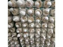 贵州食用菌网格网架 浸塑蘑菇养殖网片 工厂化出菇房网架图2