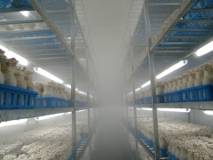 盐城爱菲尔浅谈工厂化：食用菌工厂化设备都有哪些？