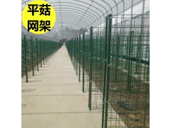 香菇出菇架香菇出菇架子图1