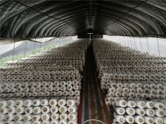 大棚黑白膜 希腊黑白膜 农用黑白膜 黑白防晒膜家禽养殖黑白膜图3