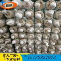 猴头菇出菇网格 平菇出菇房网架 香菇钢管层架 金针菇养殖架