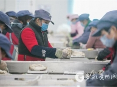 毕节：大方雪榕复工 每天上市食用菌120余吨 ()