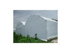 pep黑白膜 进口黑白膜 黑白薄膜 黑白农膜 防晒降温膜图1