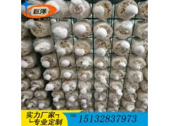 甘肃省食用菌出菇架 现代化蘑菇出菇房网格架 平菇立体架子图1