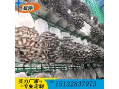 甘肃省食用菌出菇架 现代化蘑菇出菇房网格架 平菇立体架子图2
