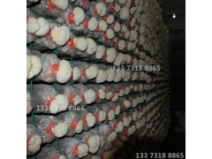 网菇出菇网食用菌网架规格图1