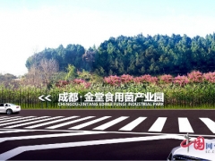 “一对一”专人服务 成都金堂食用菌产业园复工复产 ()