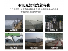 反光膜塑料薄膜 食用菌专用防晒膜 黑白两色防晒降温膜图2