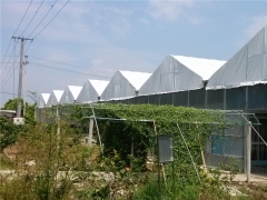 反光膜塑料薄膜 食用菌专用防晒膜 黑白两色防晒降温膜图3