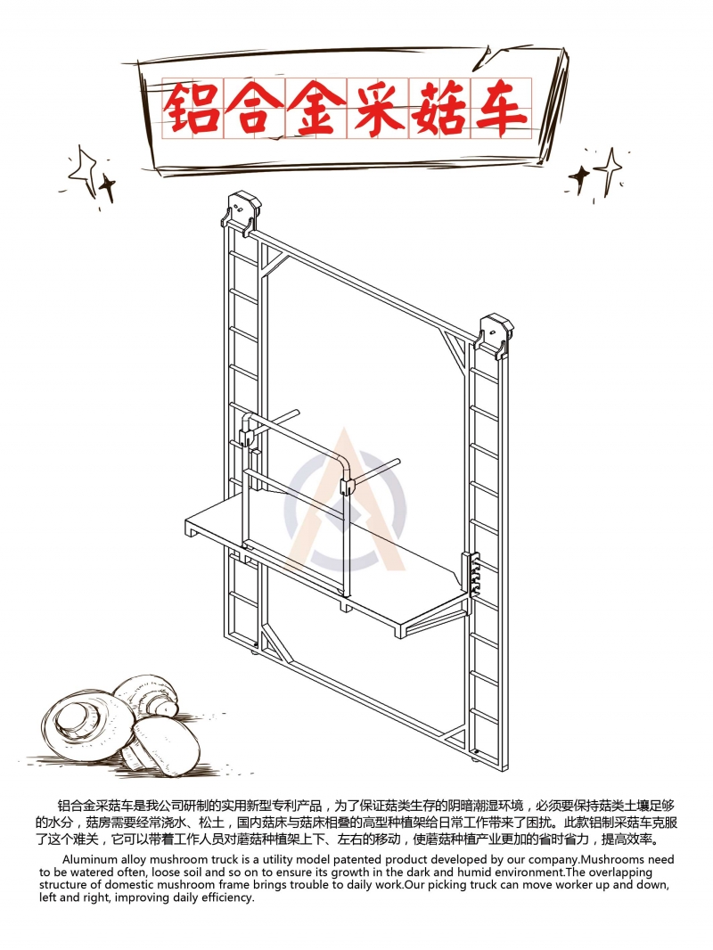 食用菌-产品简介