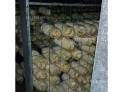 吉林蘑菇出菇架网格架厂家蘑菇养菌层架出菇架定制图1