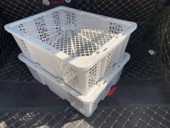 蔬菜筐水果筐厂家批发直销 可装40斤塑料水果筐 质量好图3