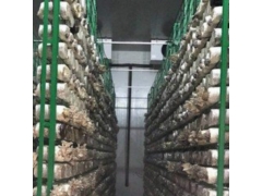 河北厂家定制香菇出菇架子尺寸图1