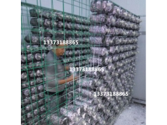 河北厂家定制香菇出菇架子尺寸图2