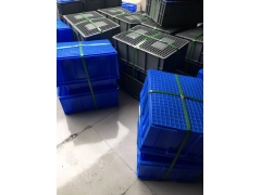 成都资阳塑料水果框图2