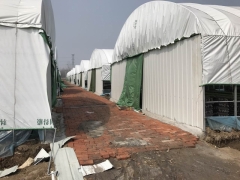 绿白膜 食用菌绿白膜 菌菇大棚绿白膜 蘑菇大棚绿白膜图1