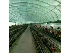 养殖黑白膜 家禽养殖防晒膜 鸡鸭养殖膜 食用菌防晒黑白膜图2