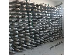 大棚香菇出菇层架 现代化香菇出菇架 香菇出菇网格架图2