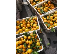 贵州塑料筐贵阳水果筐六盘水塑料胶框蔬菜框子生产厂家图1