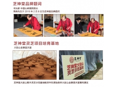 灵芝原材料生产基地 灵芝粉  灵芝片图1