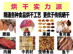 木材烘干机烘烤房设备食用菌吴茱萸面条灵芝木瓜竹笋干燥烘干设备图2