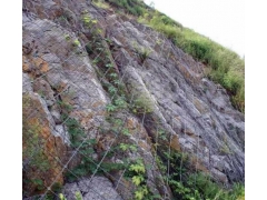 供青海边坡防护网和西宁山体防护网批发图1