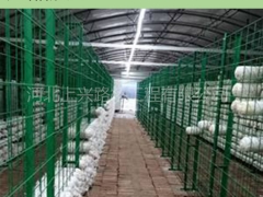 食用菌种植浸塑网格架 蘑菇网片图2