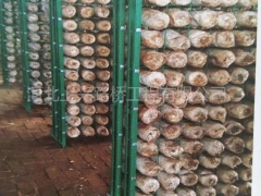 食用菌种植浸塑网格架 蘑菇网片图1