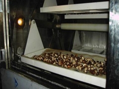 四川菌菇微波灭菌机图1