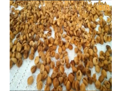 四川菌菇微波灭菌机图2