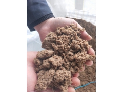 污泥低温干化机 污泥烘干机 定制污泥流水线图2