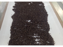 食品微波灭菌器图1