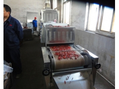 食品微波灭菌器图3