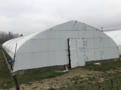 食用菌大棚专用膜  黑白膜图3