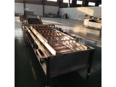 草莓清洗机  芹菜高压清洗机 不锈钢果蔬气泡清洗机厂家直销图1