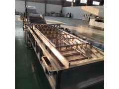 叶菜清洗机 果蔬清洗机设备 菠菜毛辊气泡清洗机效果好图1