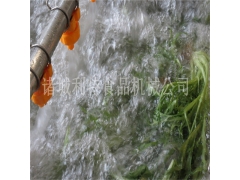 叶菜清洗机 果蔬清洗机设备 菠菜毛辊气泡清洗机效果好图2