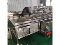 机械果蔬清洗机  苹果气泡清洗机  荠菜喷淋清洗机诸城利特图3