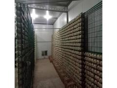 食用菌出菇网架a南京食用菌出菇网架a食用菌出菇网架厂家现货图2