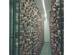 食用菌出菇网架a南京食用菌出菇网架a食用菌出菇网架厂家现货图3