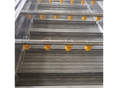 供应蔬菜清洗流水线 莴苣全自动喷淋清洗机 青菜气泡清洗机图3