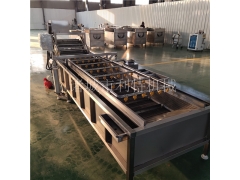 供应上海青喷淋清洗机 蔬菜全自动清洗机 菜苔气泡清洗机图1