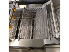 供应上海青喷淋清洗机 蔬菜全自动清洗机 菜苔气泡清洗机图2