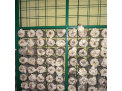 食用菌出菇架a铁岭食用菌出菇架a食用菌出菇架现货厂家图1