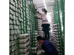食用菌出菇架a陕西食用菌出菇架a食用菌出菇架现货厂家图3