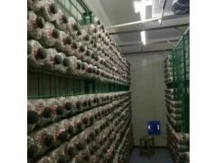 食用菌网架a河北食用菌网架a食用菌网架现货厂家图1